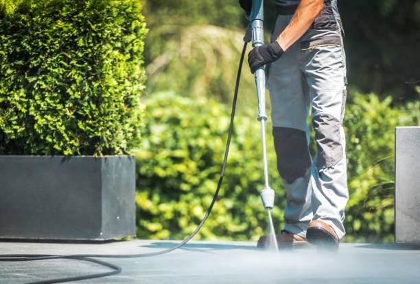 Best Oil Spill Cleanup  in Trenton, MI