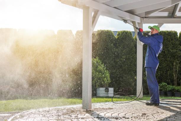 Best Patio and Deck Pressure Washing  in Trenton, MI