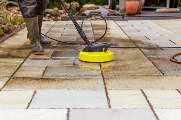 Best House Exterior Washing  in Trenton, MI